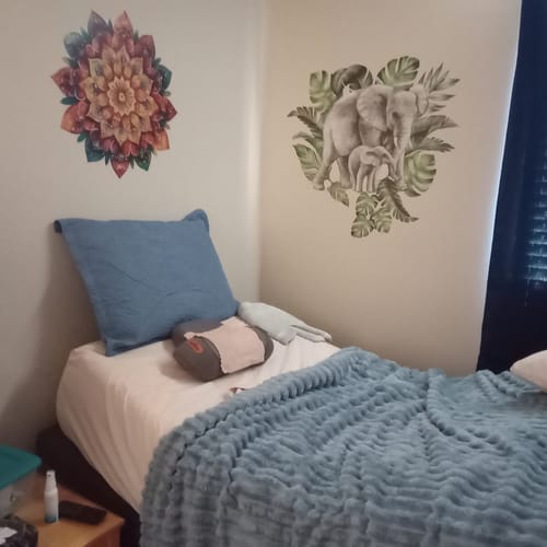 Pierrette's pillow in a quiet bedroom